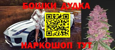 apvp Канаш
