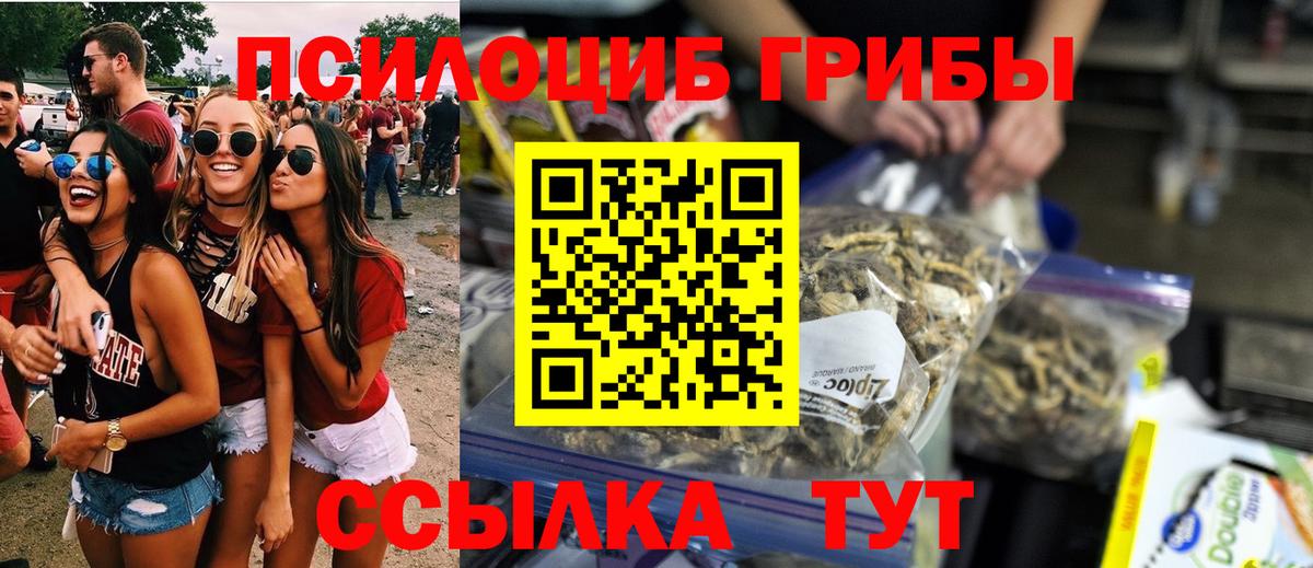 Галлюциногенные грибы Psilocybine cubensis  Вход с VPN  Троицк 