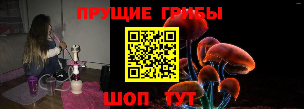 Псилоцибиновые грибы Psilocybe Троицк